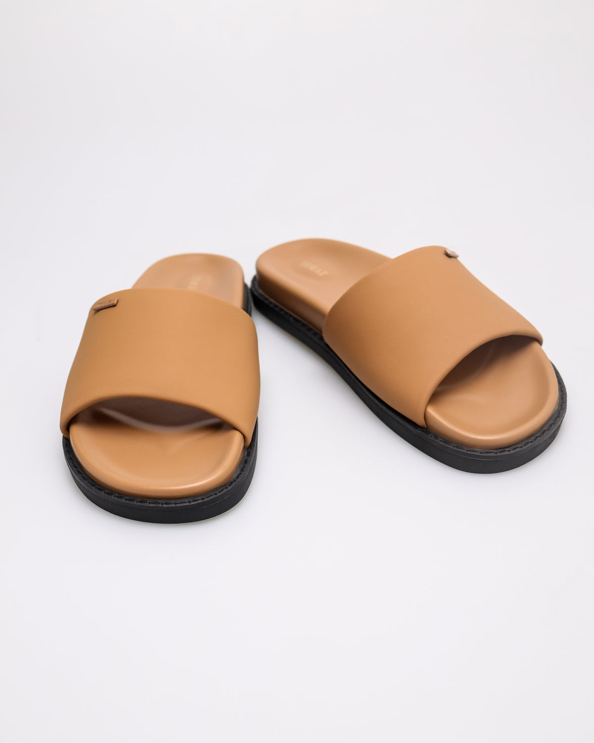 #color_camel