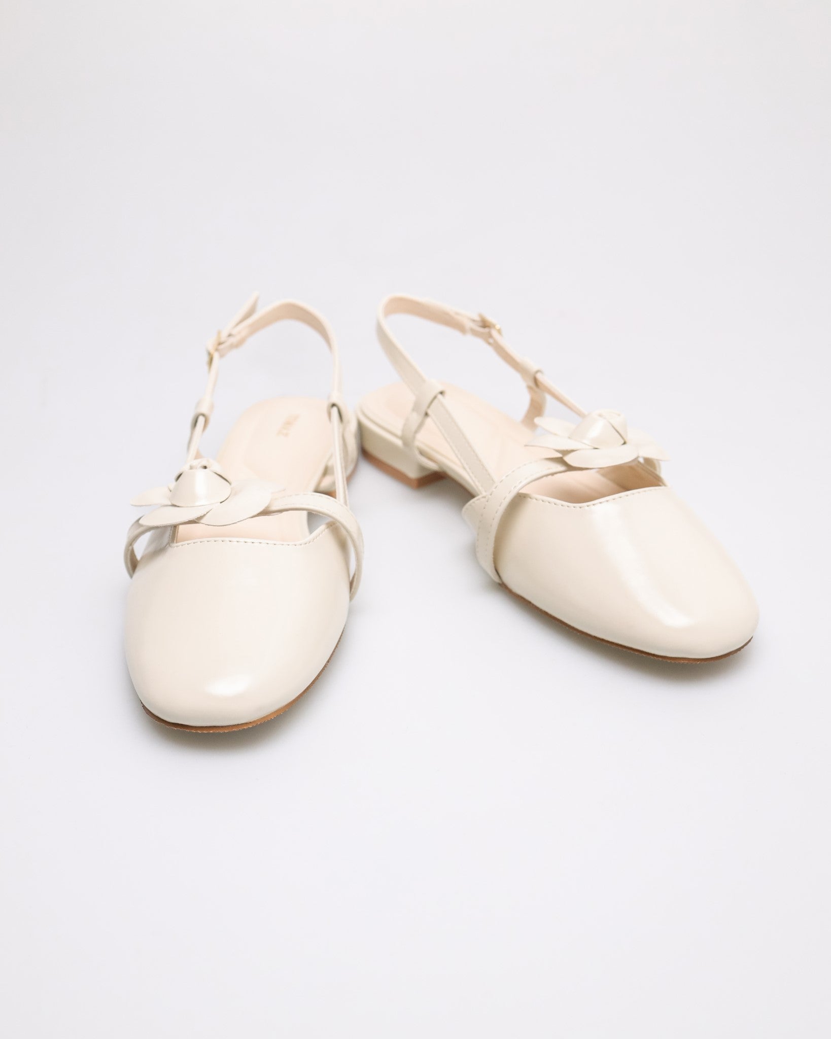 #color_ivory