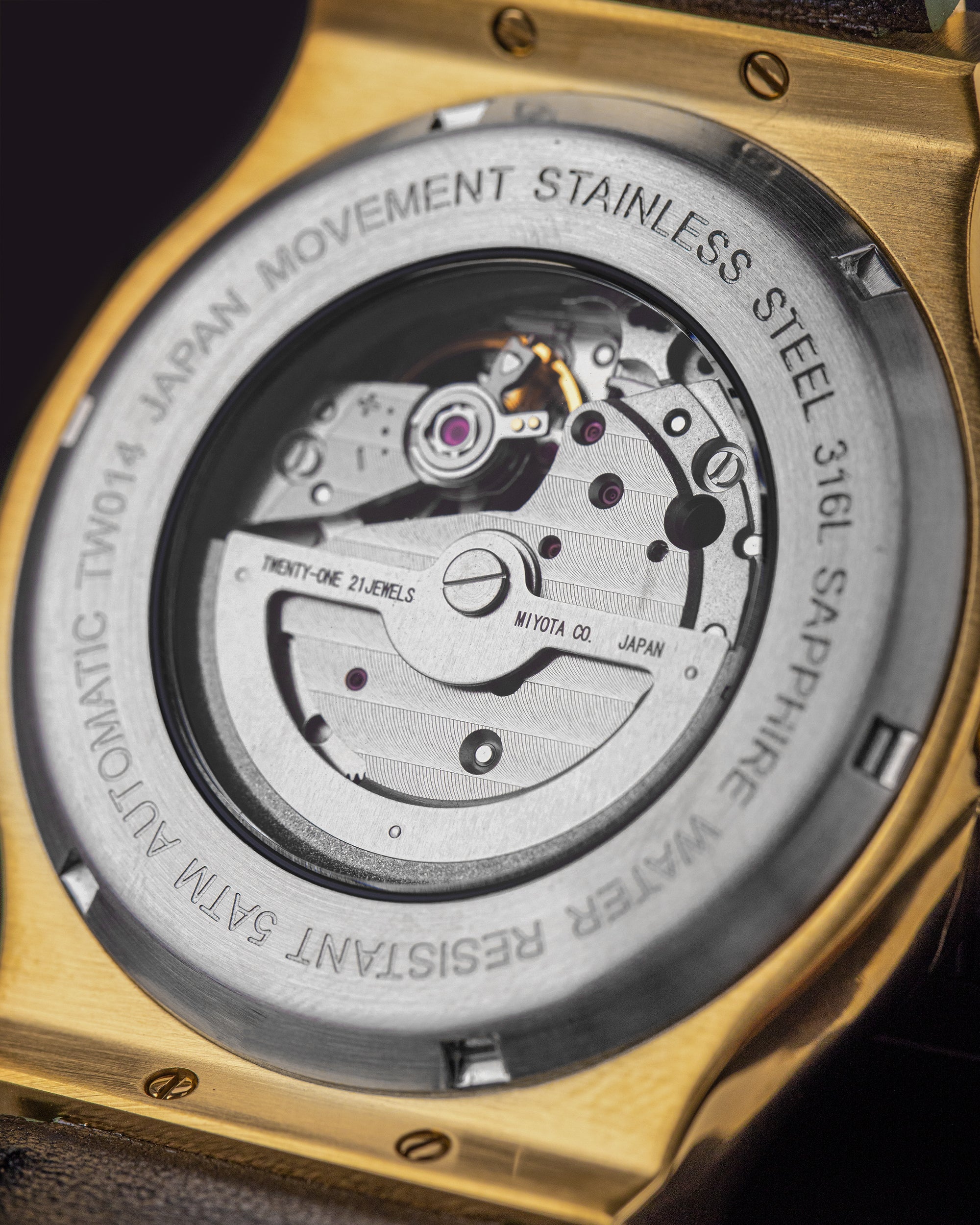 Tomaz Men's Watch TW014-D9 (Gold/Black) Green Leather Strap