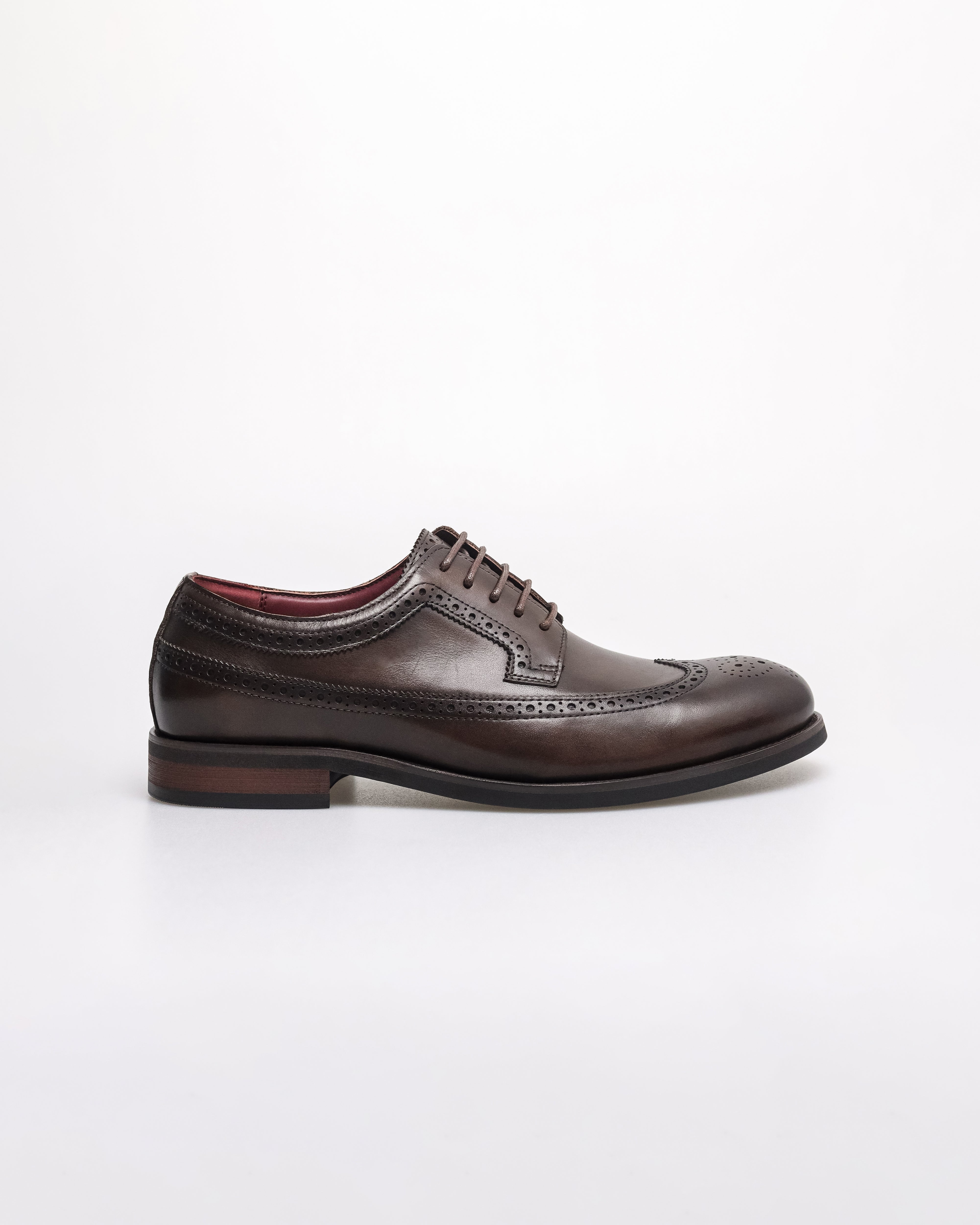 Tomaz HF110 Men's Brogue Wingtip Derby (Coffee)