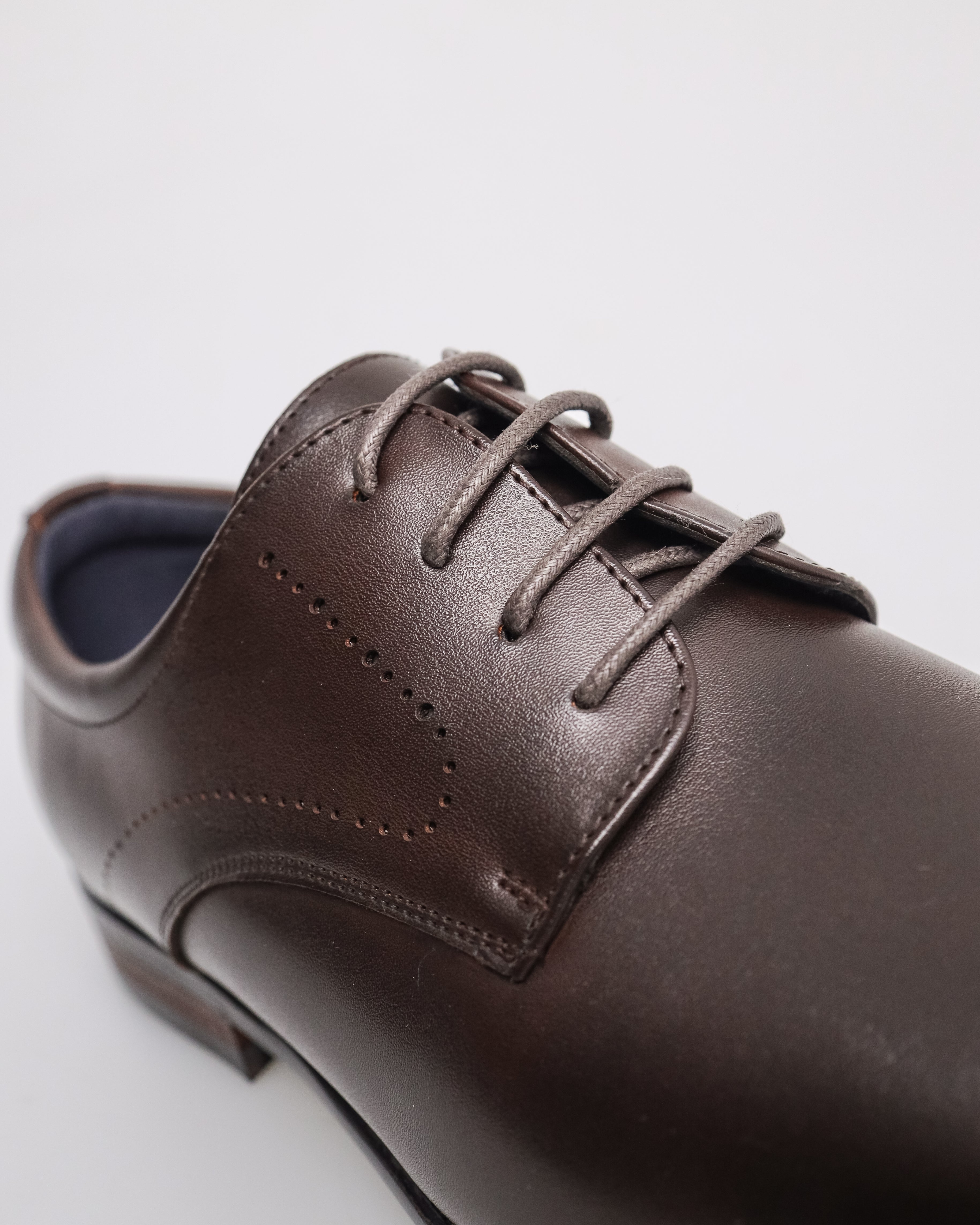 Tomaz F399 Men's Plain Toe Derby (Coffee)