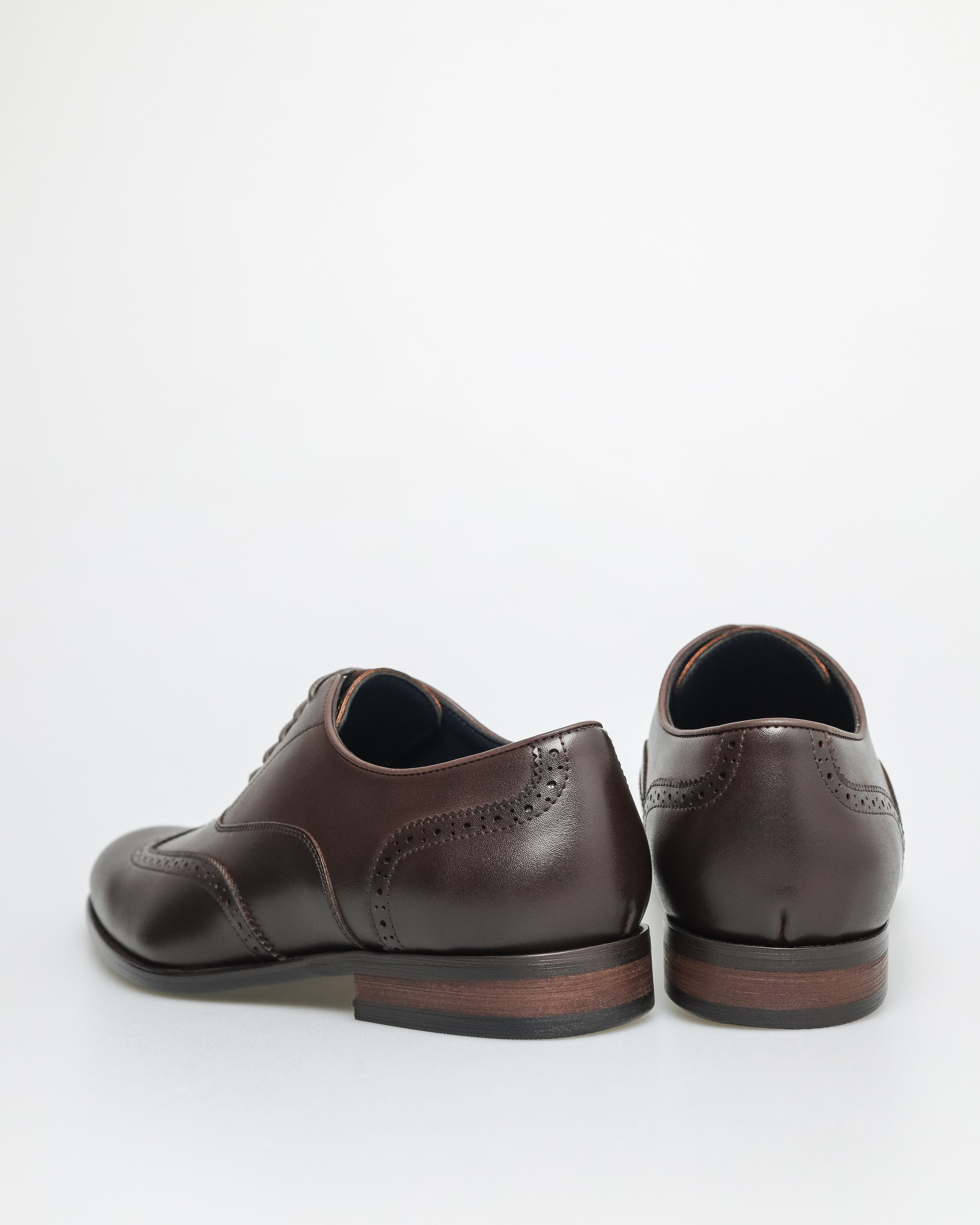 Tomaz F401 Men's Brogue Toe Oxford (Coffee)