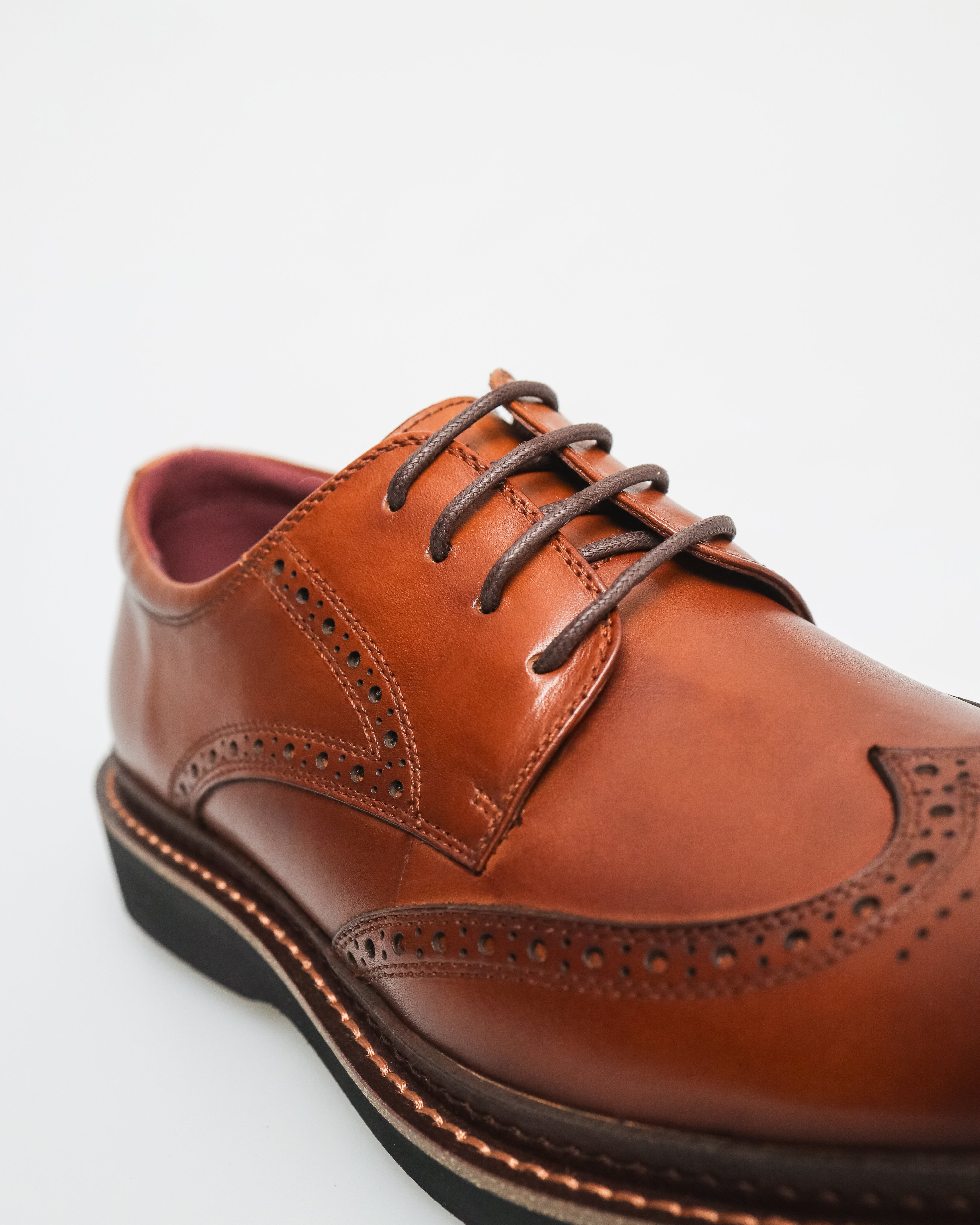 Tomaz HF078 Men's Classic Perforated Derby (Brown)