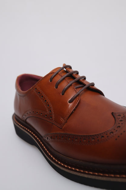 Tomaz HF078 Men's Classic Perforated Derby (Brown)