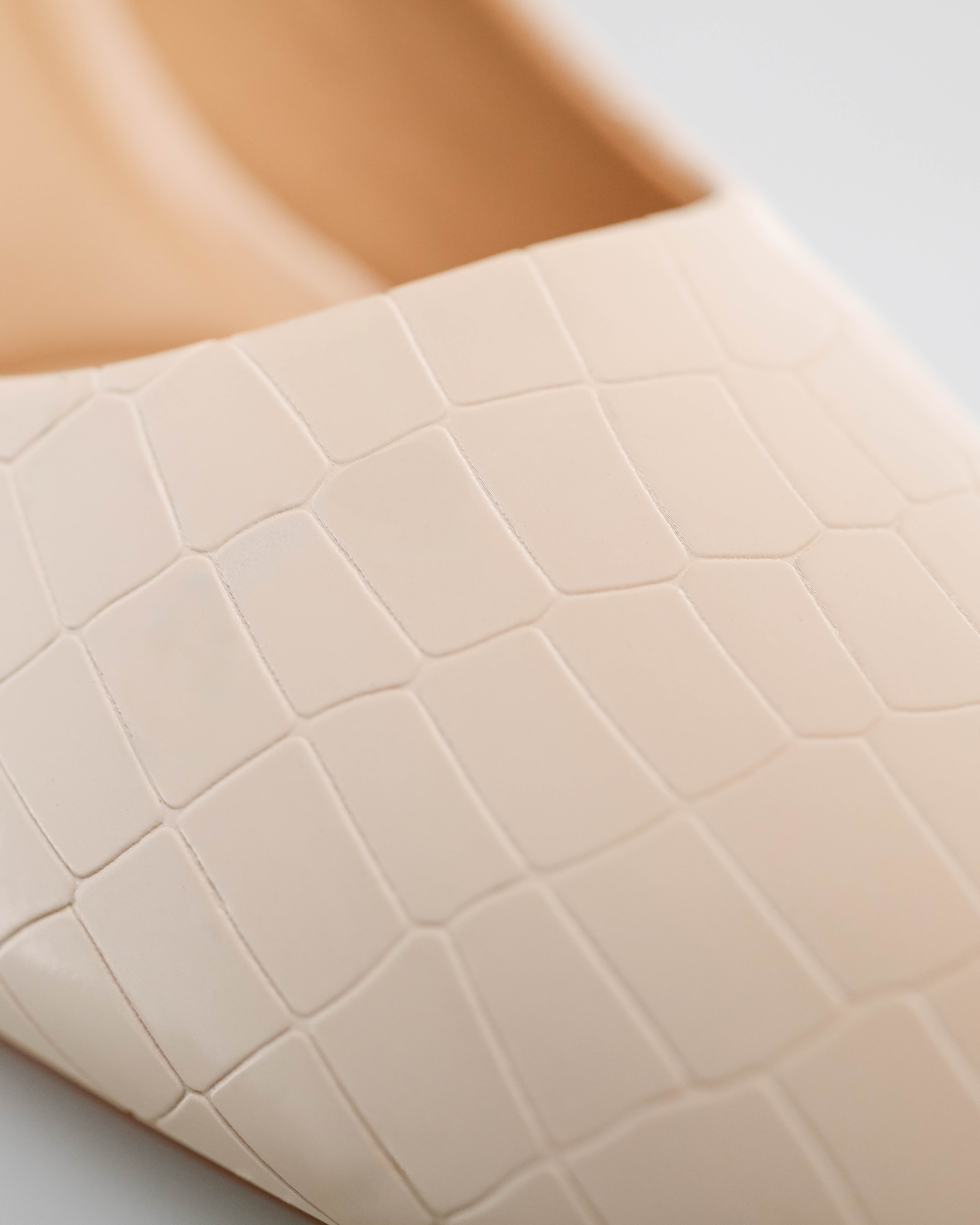 #color_light beige