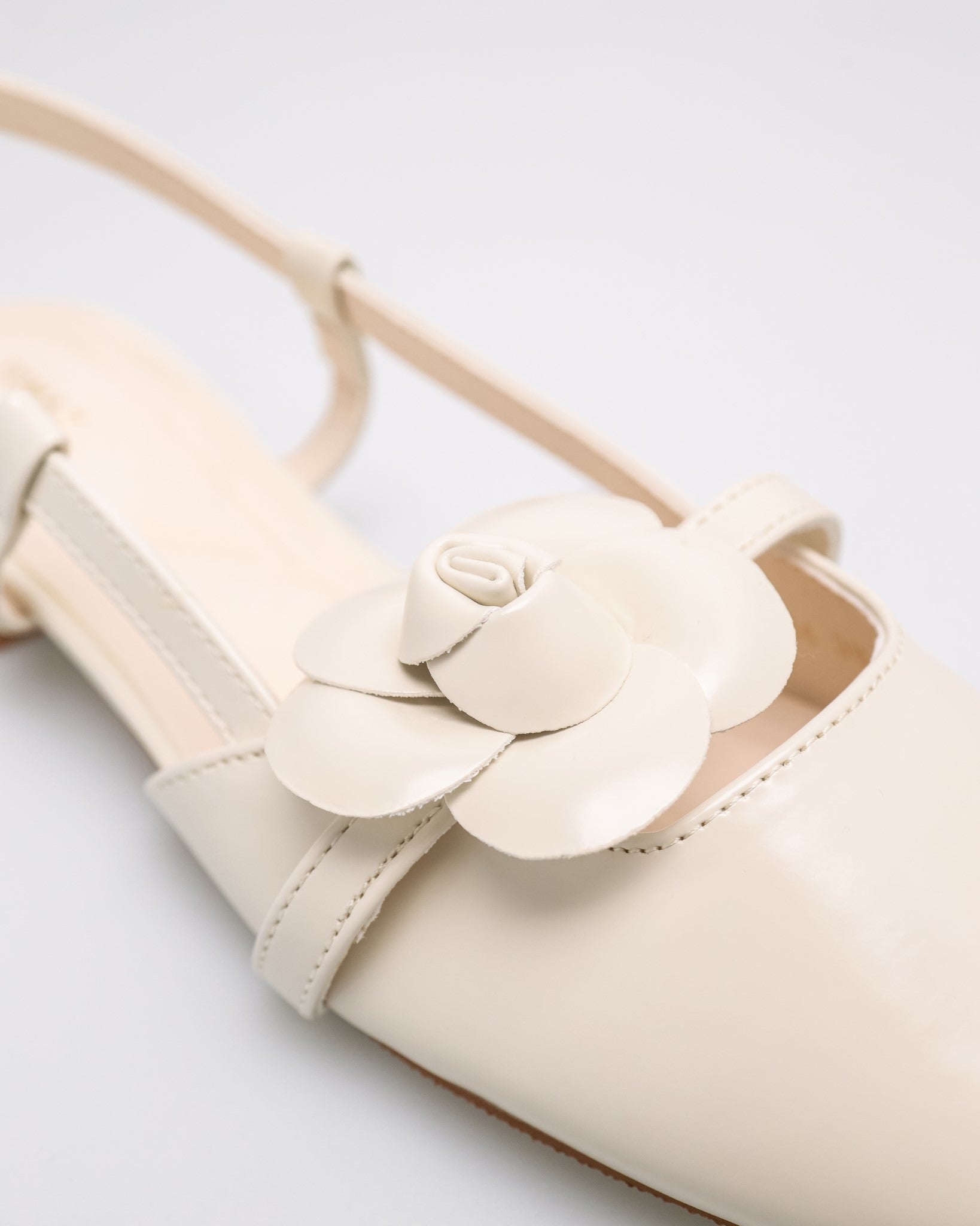 #color_ivory