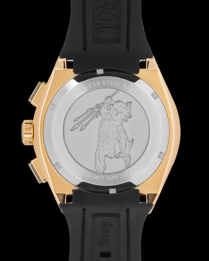 DC Aquaman TQ023-RD2 (Gold/Green) with Green and Gold Crystal (Green Leather with Silicone Strap)