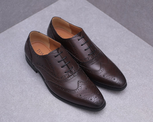 Tomaz F231 Wingtip Brogues Lace Up (Coffee)