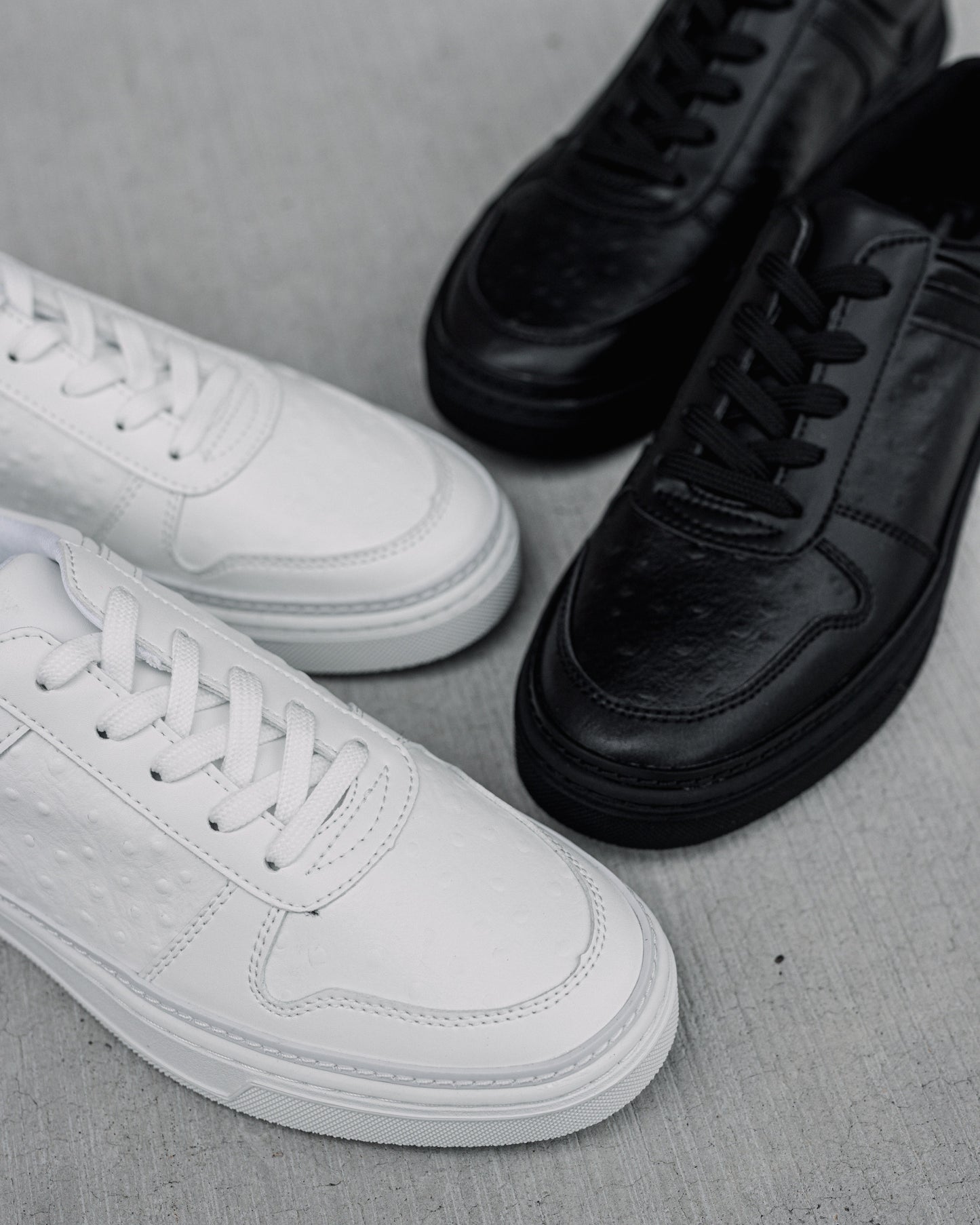 Tomaz TY010 Men's Court Sneakers (White)